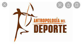 Organización y Desarrollo