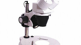 Timeline: El microscopio