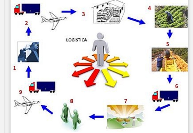 1900 desarrollo de la logística básica
