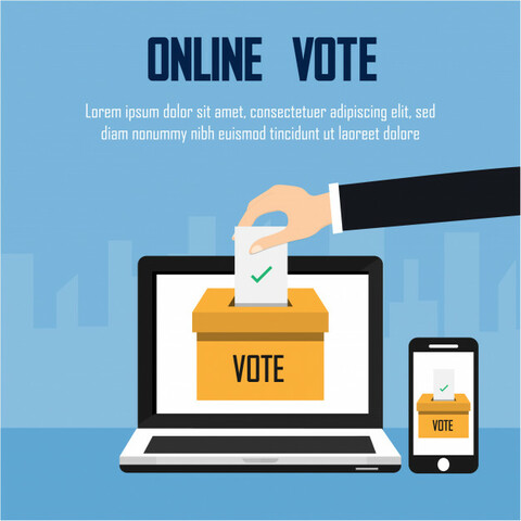 Primeras elecciones "en la  red"