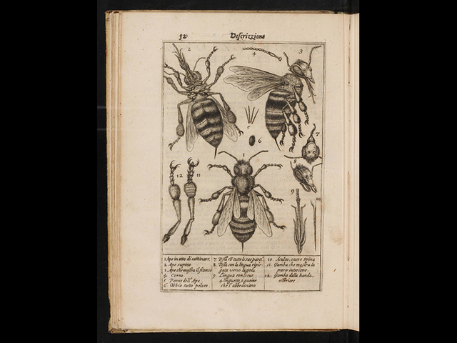 Primeras observaciones