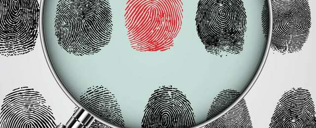 Obra publicada y denominada “On the Witness Stand”