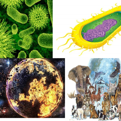 Timeline: Postulados inicio del planeta y evolución de los seres vivos
