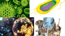 Timeline: Postulados inicio del planeta y evolución de los seres vivos