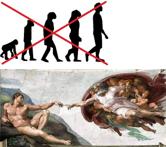 Siglo V d.C        FIJISMO Y CREACIONISMO