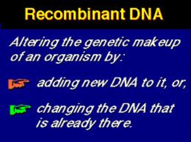 Safety guidlines for Recombinant DNA