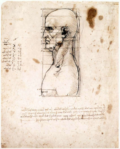 Las proporciones de la cabeza, según Da Vinci