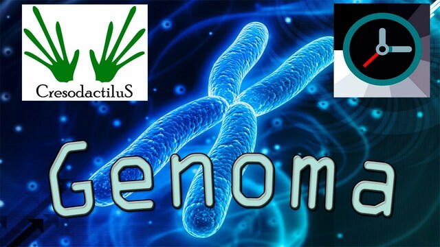 GENOMA