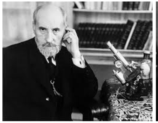 Santiago Ramón Y cajal