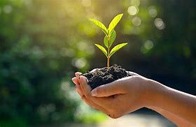 Iniciativas del desarrollo sustentable