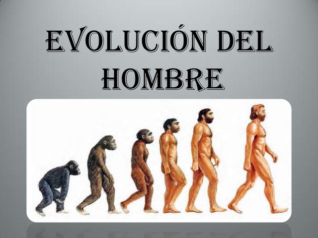 Evolución del hombre