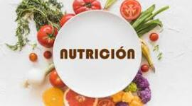 Timeline: Fechas Importantes en la historia de la Nutrición