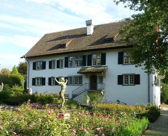 Carl Gustav Jung, Instituto C.G Jung