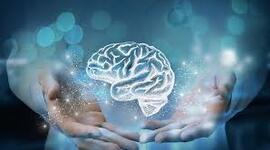 Timeline: Evolución de la neurociencia de la conducta