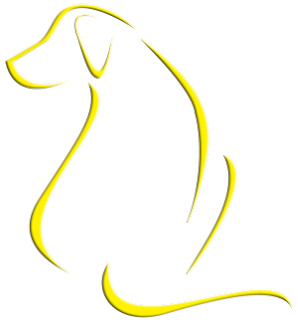 Yellow Dog