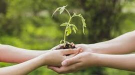 Timeline: 1.3 - Actividad Formativa 1. Línea del tiempo sobre la evolución del concepto de Desarrollo Sustentable.