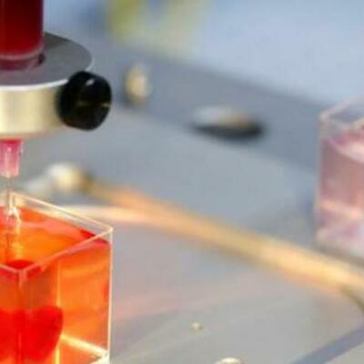 Timeline: impresión 3d juan esteban rueda 1104jm