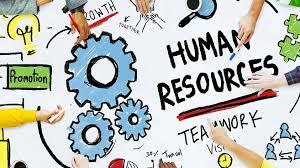 Recursos humanos