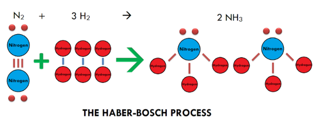 AMMONIA SYNTHESIS