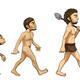 Vector evolution of man