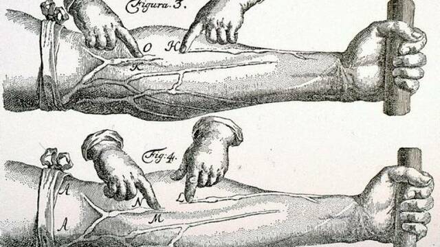 DEMOSTRACIÓN EXPERIMENTAL DE LA SANGRE