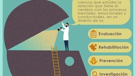 Timeline: Evolución histórica de la neuropsicología