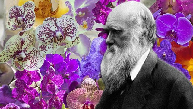 LAS FLORES DE DARWIN