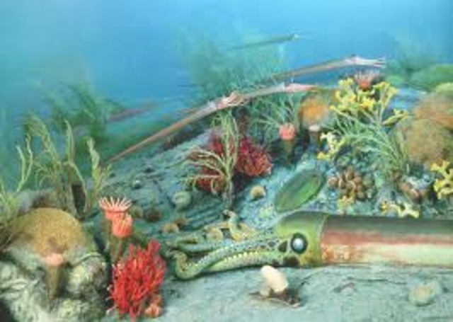 ordovician period  490-443 MYA