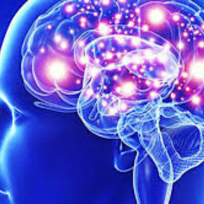 Timeline: historia y posicionamiento de la neurociencia en la psicología.