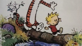 Timeline: STRANOcorbatto