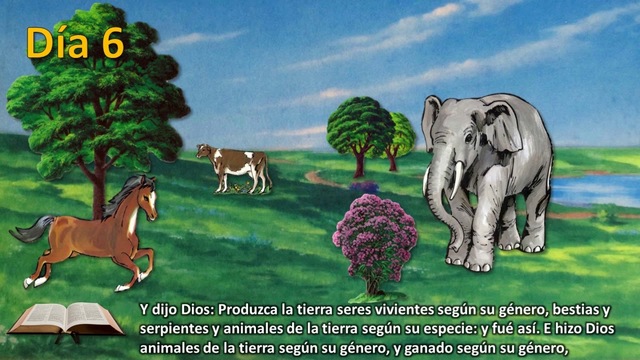 Día 6