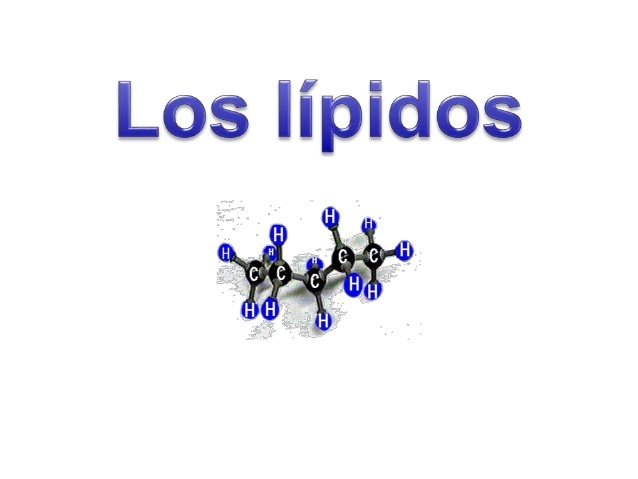 LIPIDO