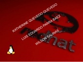 Red Hat Linux deja de existir.