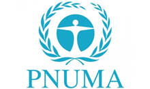 Programa para el Medio Ambiente de las Naciones Unidas (PNUMA)