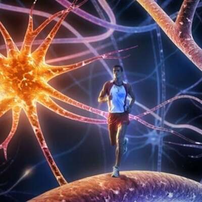 Timeline: Psicología de la actividad física y el deporte (OSWALDO CFYD 5 T/M)