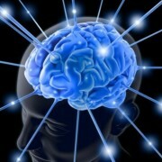 Crecimiento de la Neuropsicología