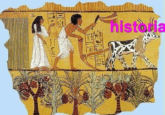 LA ENFERMEDAD Y LA RELIGIÓN 2000 A.C