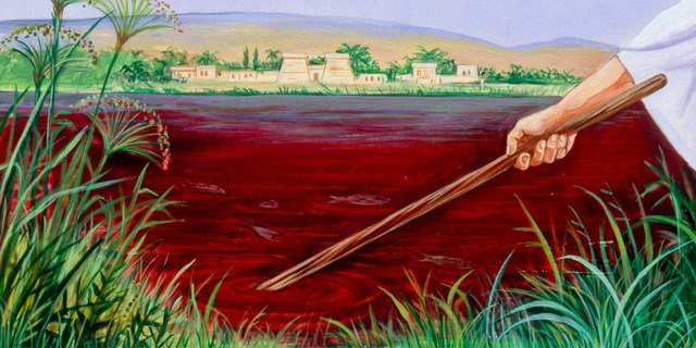 Sangre en el rio