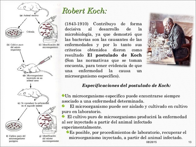 LA TEORÍA MICROBIANA SIN PASTEUR Y KOCH 1845