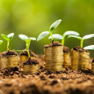 Timeline: Sector Financiero- PAULA OCHOA-LINA GISETH  BARRAGAN