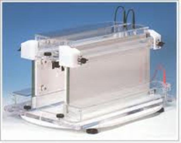 Florescence sequencer