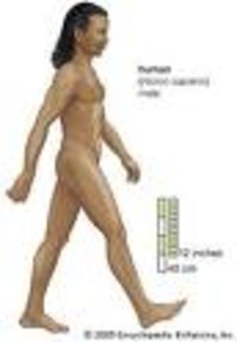 HOMO SAPIENS SAPIENS (DOUBLY WISE MAN)