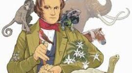 Timeline: Precedentes 1. El tiempo