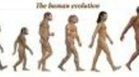 Timeline: ILLUSTRATED TIMELINE OF EARLY HUMANS
