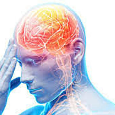 Timeline: La Neuropsicología en el tiempo