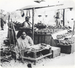 La mecanización en la Industria