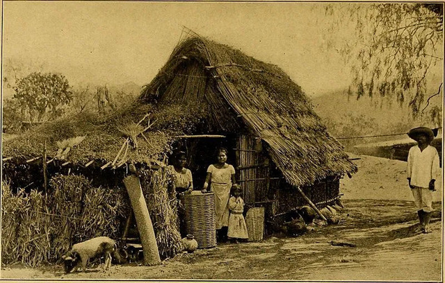 Desarticulación económica