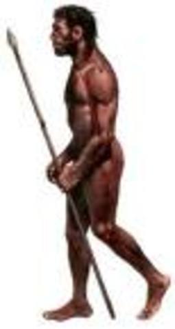 homo sapian neanderthals (wise man)