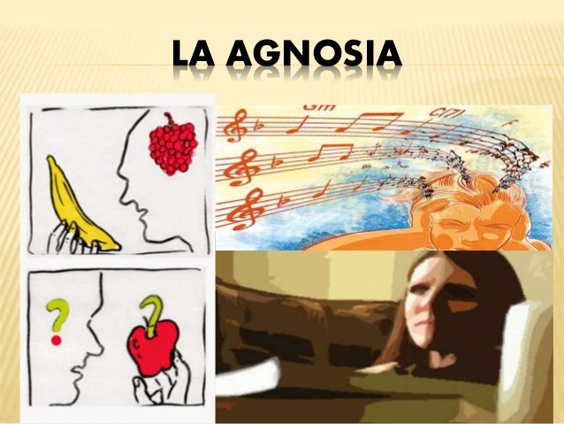 Ceguera psíquica - Agnosia