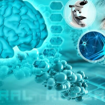 Timeline: Desde los orígenes al presente: Las neurociencias de la conducta, un viaje que no se detiene.